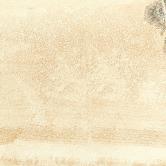 Fossil